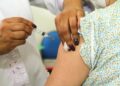 Ministério da Saúde suspende vacina contra a dengue do Butantan
