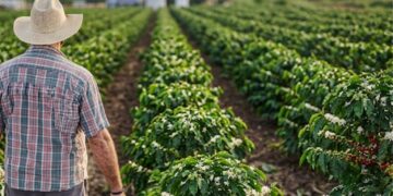Crédito rural no ES soma R$ 8,31 bilhões em 11 meses, maior valor da série histórica