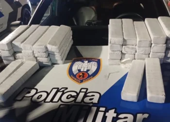Motorista é preso com 41 quilos de maconha após ser abordado na BR-101 em São Mateus